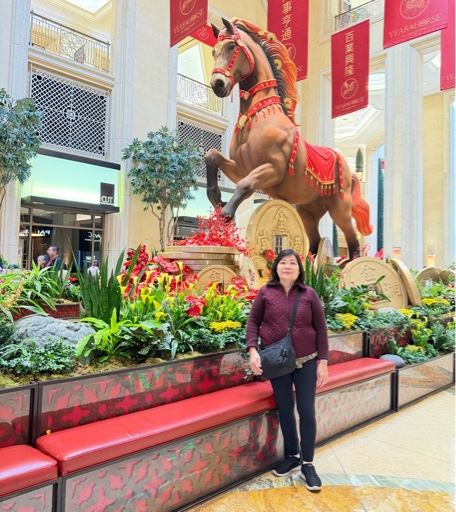 Mimi Hang